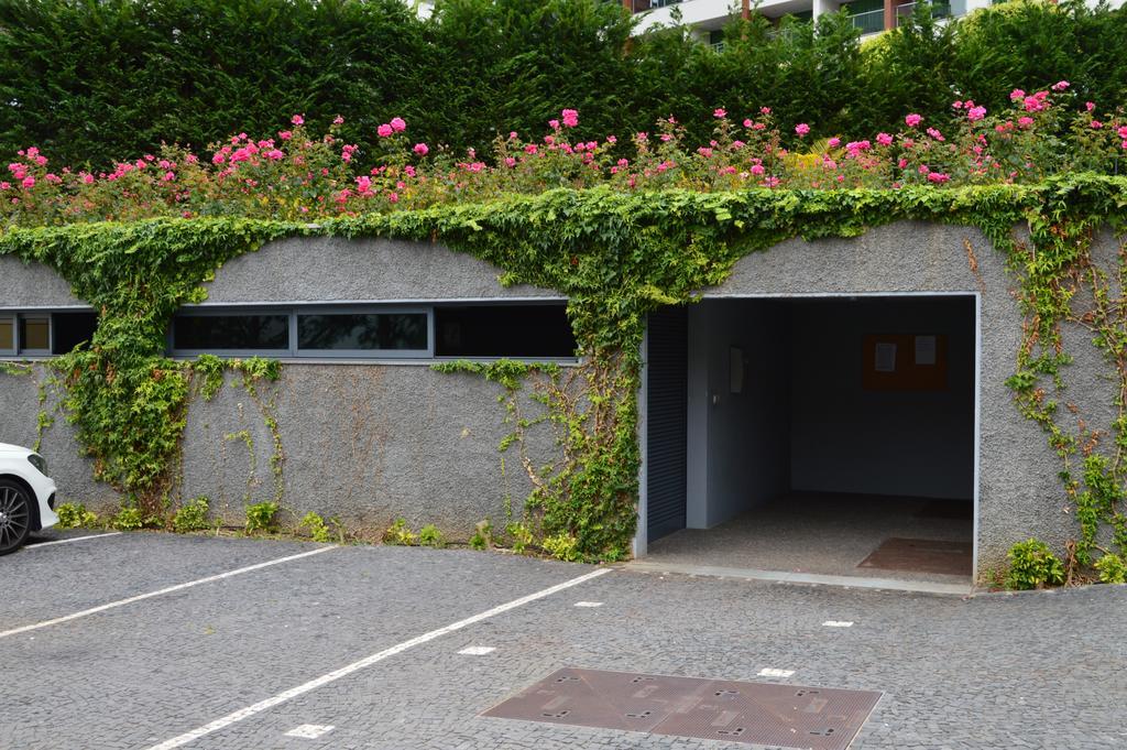 Peaceful Apartment Funchal  Exterior foto